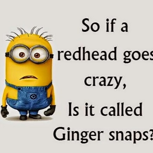 Meet your Posher, Roxie h3hrbsc - Picture 1 of 1